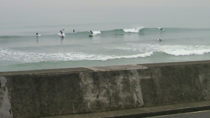 P1001563.jpg