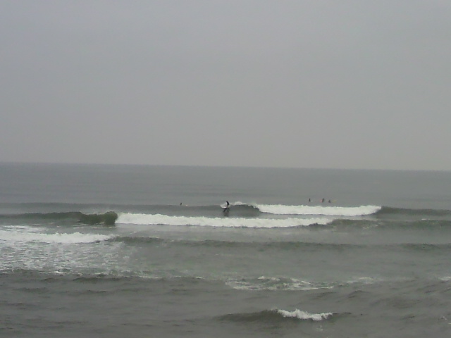 P1002171.jpg