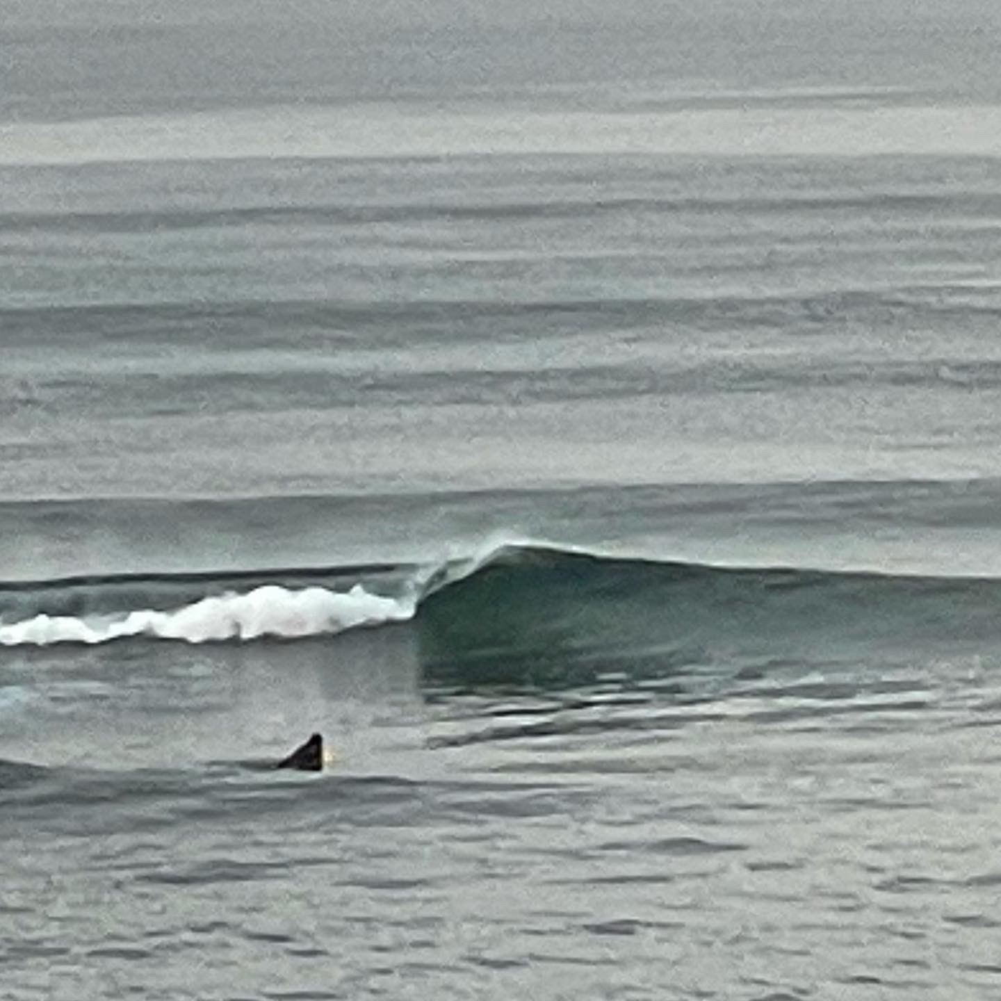 image_6483441.JPG